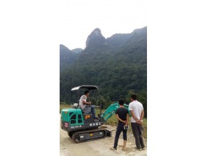 重慶客戶購買的德力15-9挖掘機(jī)